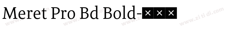 Meret Pro Bd Bold字体转换